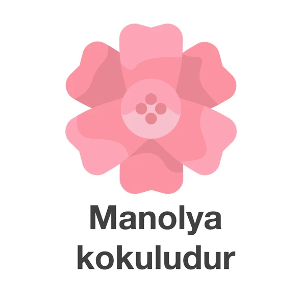Deep Fresh Maxi Pack Islak Mendil Manolya 144 Yaprak - Resim 4