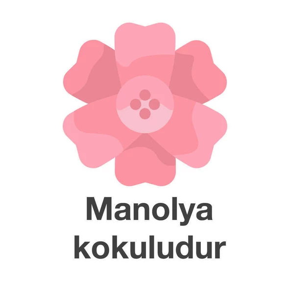 Deep Fresh Maxi Pack Islak Mendil Manolya 144 Yaprak - Resim 8
