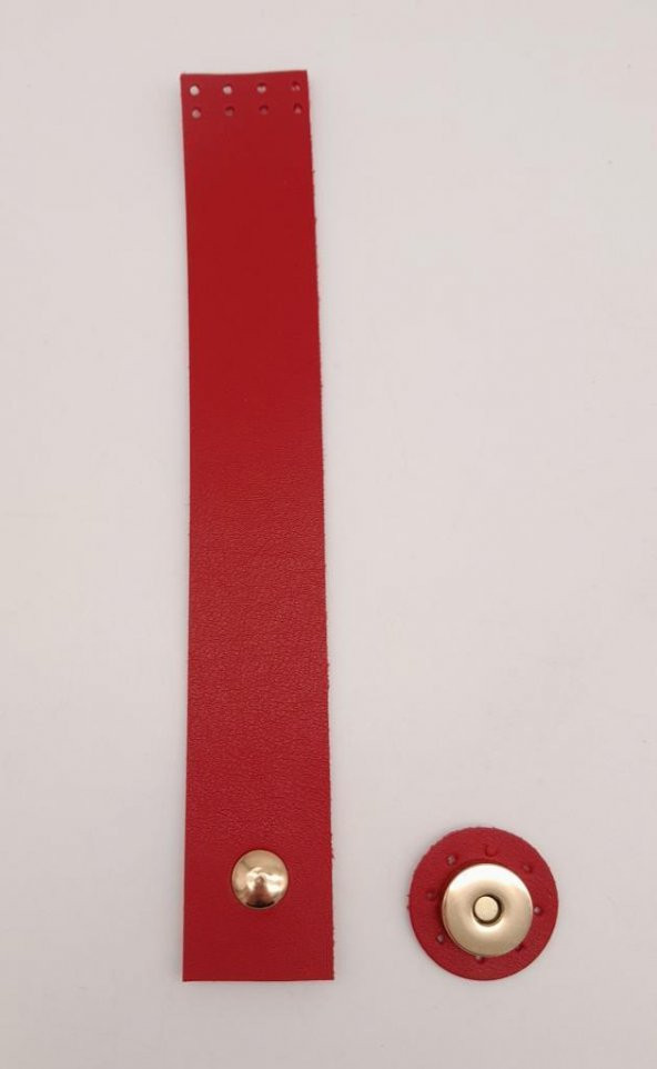 Angel Çanta Aksesuar Kırmızı Renk 20x3 Cm Tek Kat Suni Deri Kapak Light Gold Metal ürün görseli 1