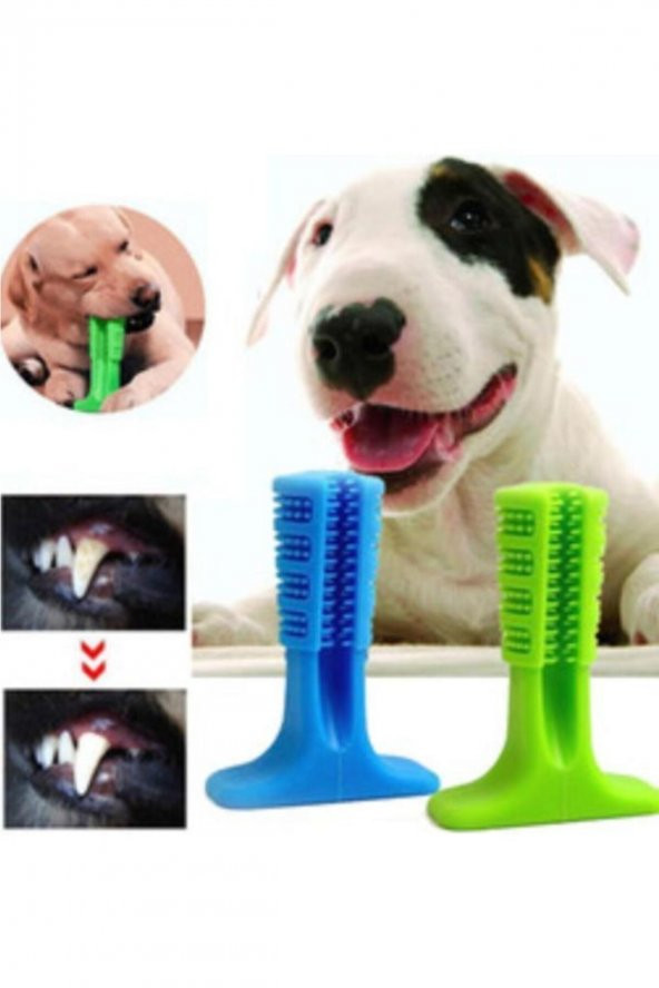 Köpek Diş Temizleyici Ve Kaşıyıcı Sağlıklı Küçük Boy Oyuncak ürün görseli 1