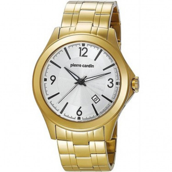 Pierre Cardin 104871F05 Erkek Kol Saati-1175 ürün görseli 1
