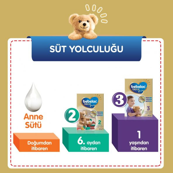 Bebelac Gold 2 Çocuk Devam Sütü 350 gr 3'lü Paket - Resim 12