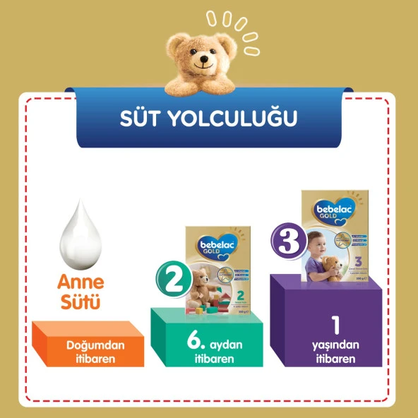 Bebelac Gold 2 Çocuk Devam Sütü 350 gr 2'li Paket - Resim 12