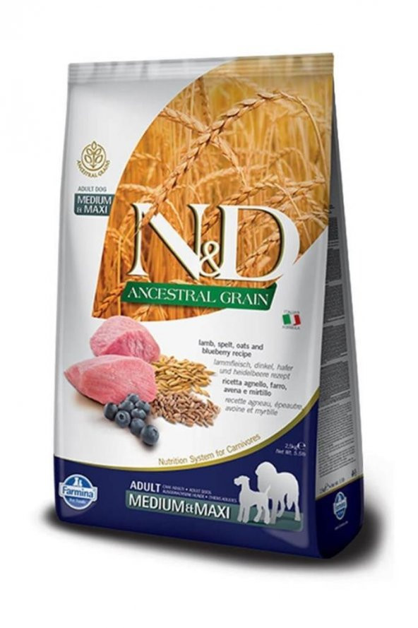 N&D Kuzu Etli Yaban Mersini Düşük Tahıllı Yetişkin Köpek Maması 12 kg ürün görseli 1