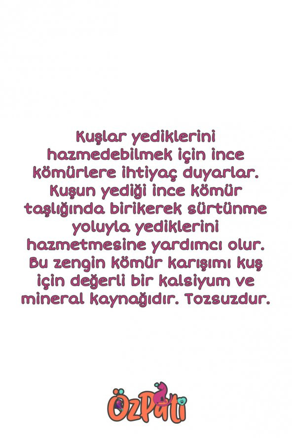 Kuş Kömürü / Kömür Blok 5 Adet - Resim 2