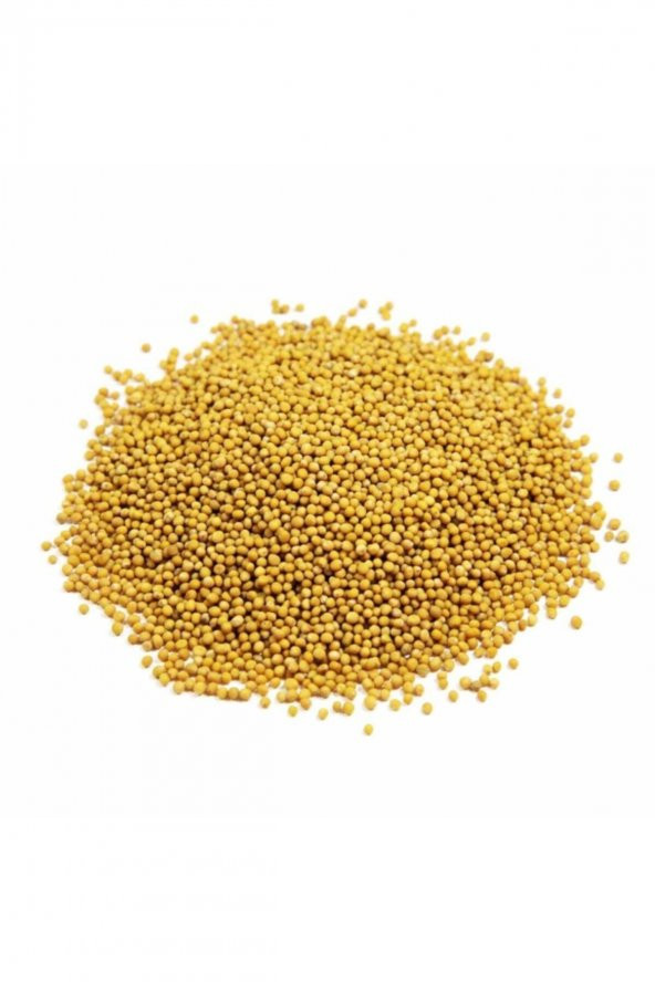 sarı hardal tohumu 300 gr ürün görseli 1