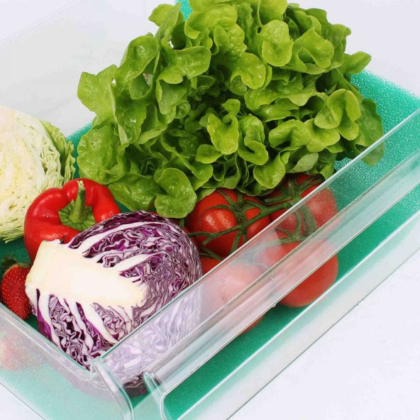Buzdolabı Sebzelik Küf Börtü Böcek Önleyici Mat 47x30 ürün görseli 1