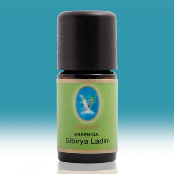 Nuka Sibirya Ladini Yağı 10 Ml Aromatik Cilt Bakım Ve Masaj Ladin ürün görseli 1