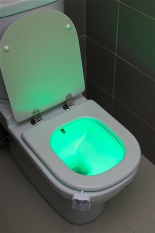 Toiled 8 Renkli Sensörlü Banyo Gece Aydınlatması - Resim 4