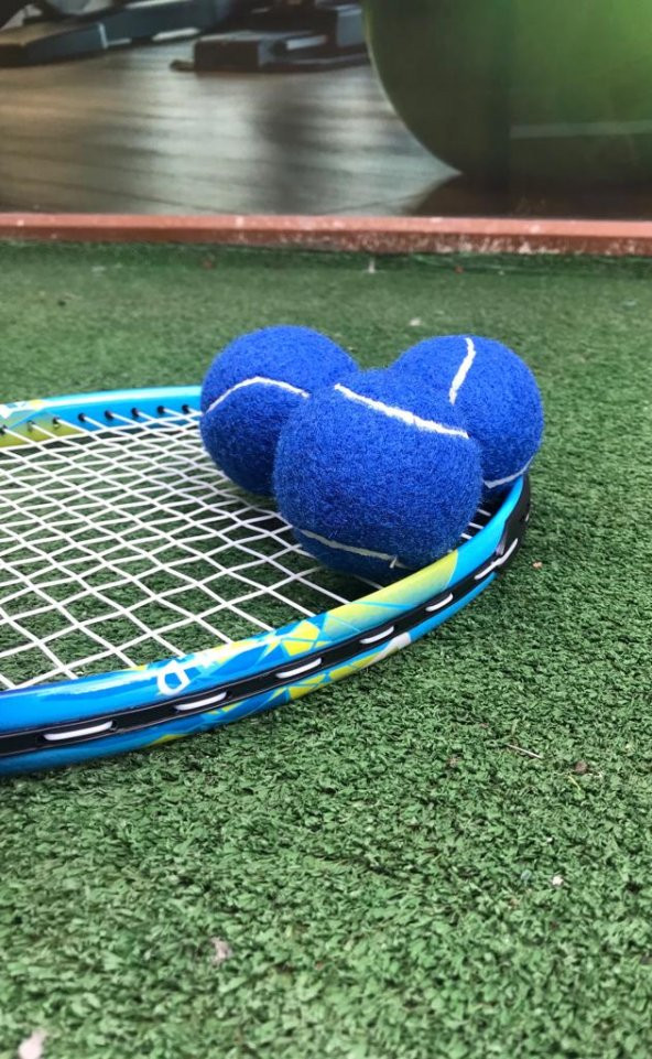 Werkon 3 Adet Antrenman Tenis Topu Mavi ürün görseli 1