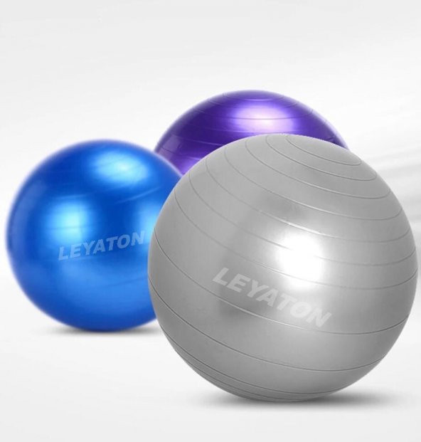 Leyaton Plates Topu 75 cm Gri - Resim 2