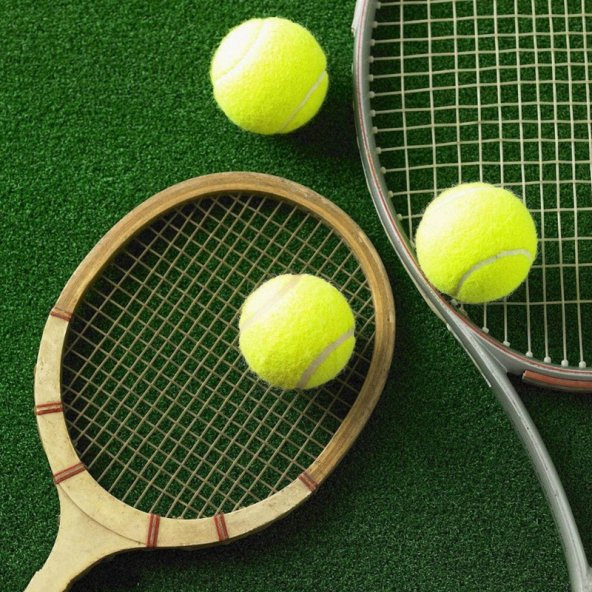 Leyaton 2 Adet Sarı Tenis Topu Antrenman Tenis Topu TPW-002 ürün görseli 1