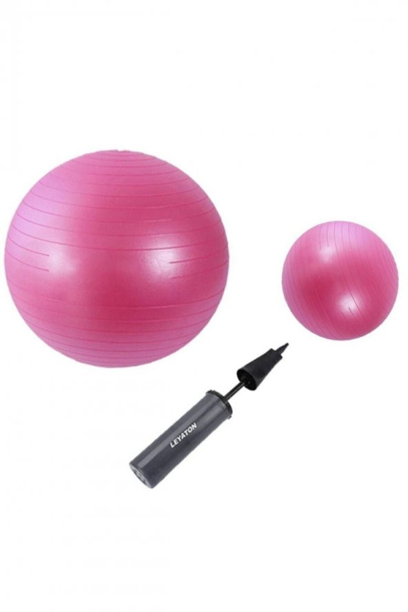 AYLA STAND 65 Cm Pembe + 25 Cm Pilates Topu 2li Set ürün görseli 1