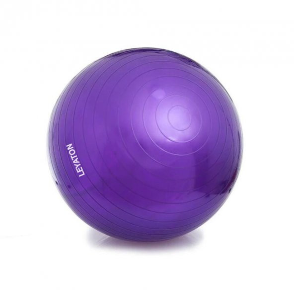 Leyaton Pilates Topu 55 cm Pompa Hediyeli Fitness Pilates Spor ürün görseli 1