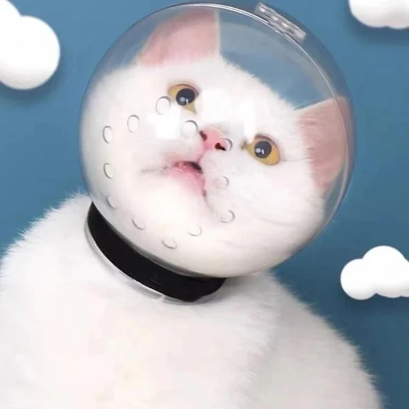 Lavimo Kedi Bakım Küresi - Resim 7