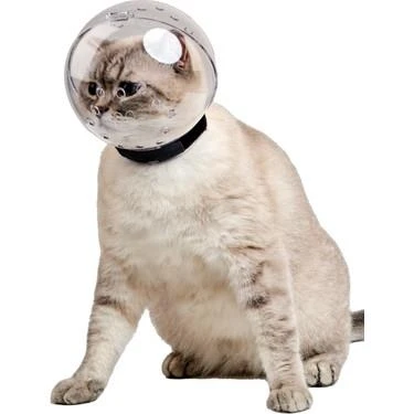 Lavimo Kedi Bakım Küresi - Resim 4