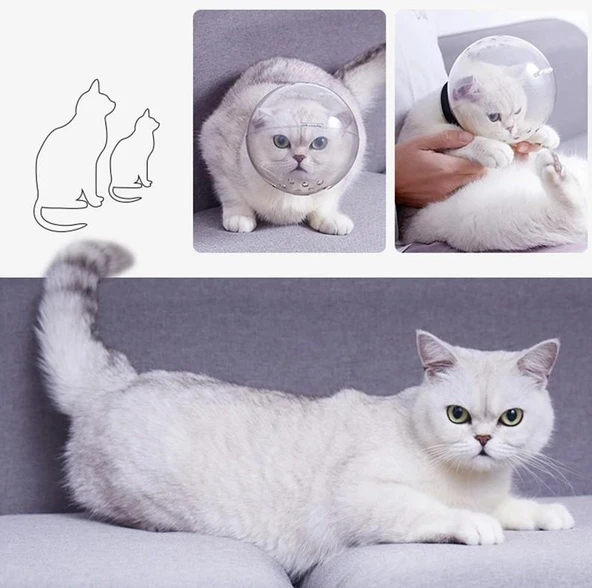 Lavimo Kedi Bakım Küresi - Resim 5