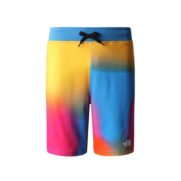 The North Face M STANDARD SHORT LIGHT-EU Erkek Şort NF0A3S4EIAX1 ürün görseli 1