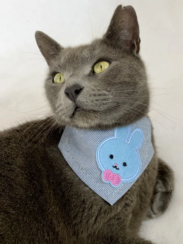 Blue Bunny Kedi Bandana, Fular, Kedi Kıyafeti Kedi Elbisesi, Kedi Tasması ürün görseli 1