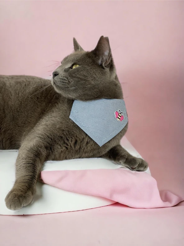 Butterfly Kedi Bandana, Fular, Kedi Kıyafeti Kedi Elbisesi, Kedi Tasması ürün görseli 1