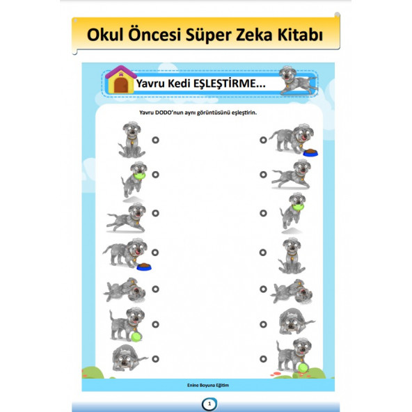 Okul Öncesi Süper Zeka Kitabı - Resim 2