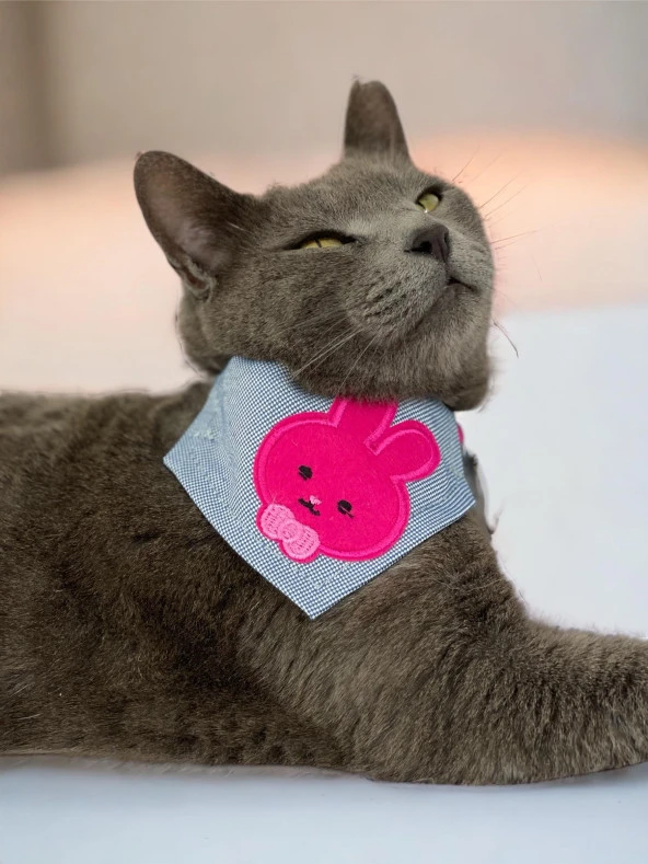Pink Bunny Kedi Bandana, Fular, Kedi Kıyafeti Kedi Elbisesi, Kedi Tasması ürün görseli 1