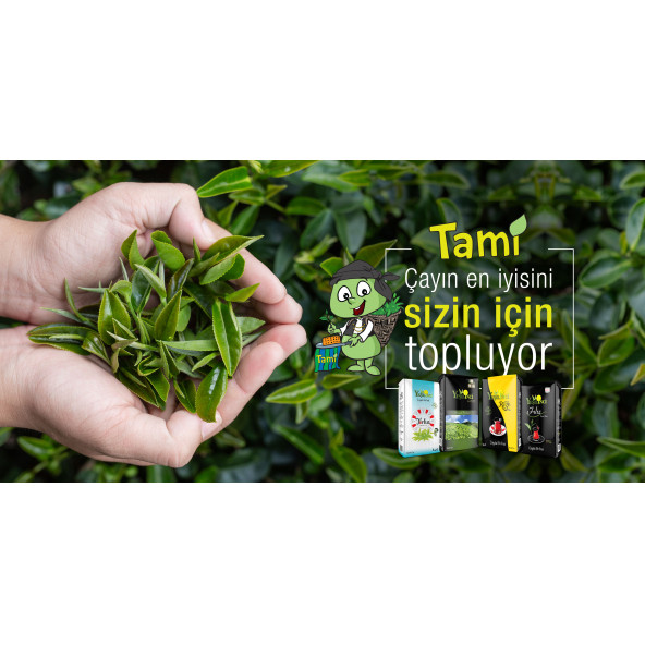 YEŞİL İNCİ GOLD ÇAY - Resim 3