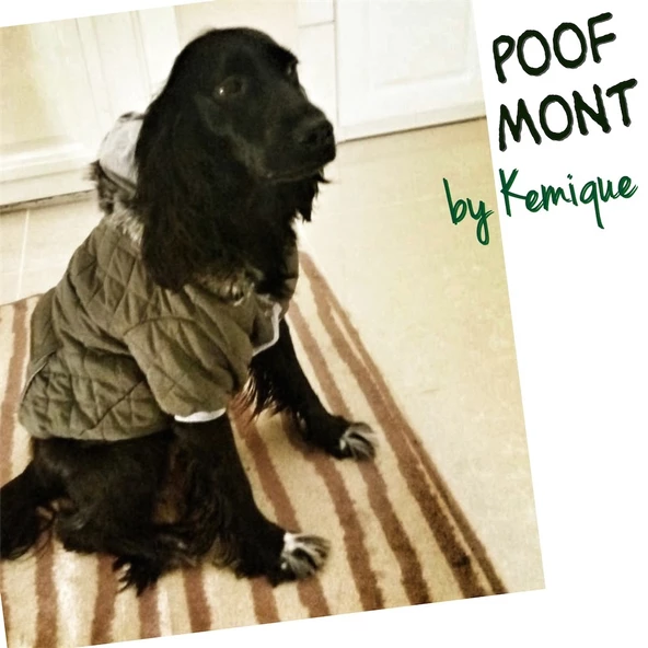 NEFTİ YEŞİL POOF CUTIE by Kemique - Köpek Montu ürün görseli 1