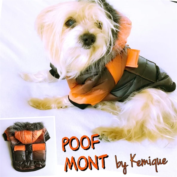 DEGRADE TURUNCU POOF BANG by Kemique Köpek Montu ürün görseli 1