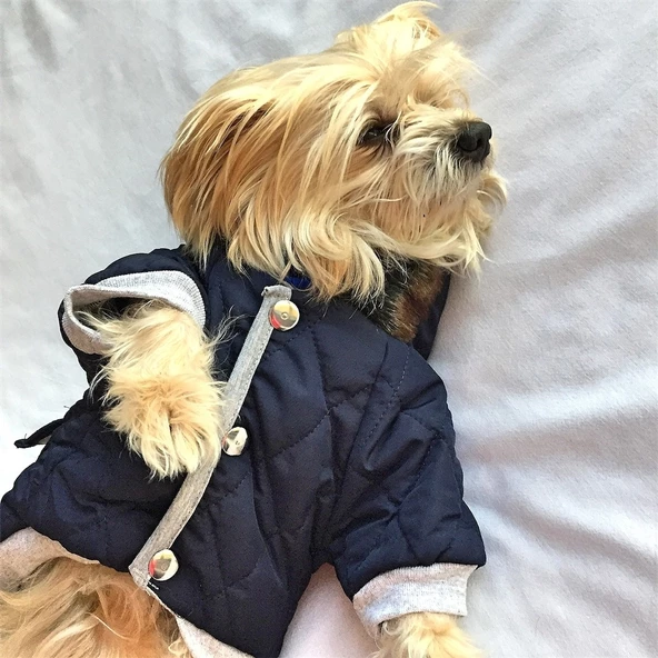 LACİVERT POOF CUTIE by Kemique  KÖPEK MONT KÖPEK PALTO ürün görseli 1