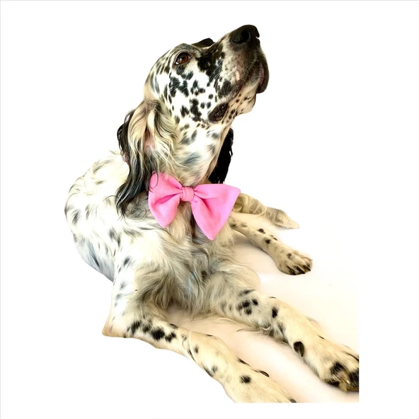 KEDİ VE KÖPEKLER İÇİN PAPYON  PEMBE - Resim 6