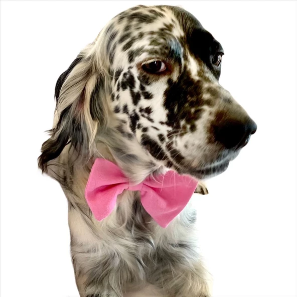 KEDİ VE KÖPEKLER İÇİN PAPYON  PEMBE ürün görseli 1