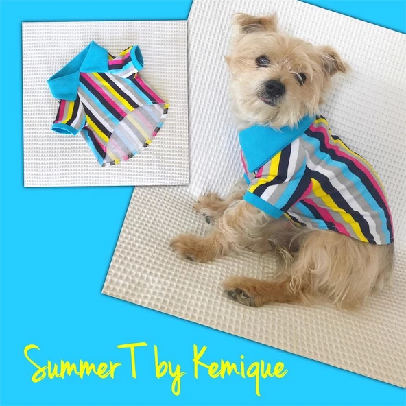 MAVİ GÖKKUŞAĞI Polo Yaka Tişört Summer T Köpek Kıyafeti,Elbisesi ürün görseli 1