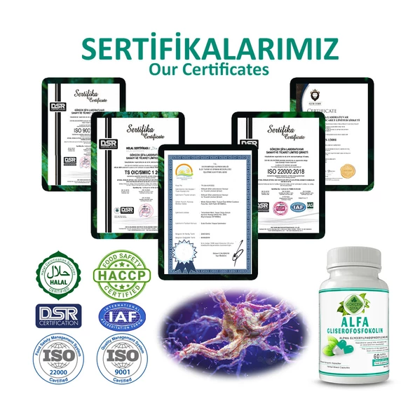 Alfa Gliserofosfokolin Kapsül (ALPHA GLYCERYLPHOSPHORYLCHOLİNE CAPSULE) 60 Adet - Resim 5