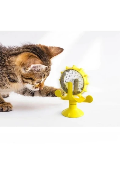 Kedi Ödül Çarkı - Resim 3