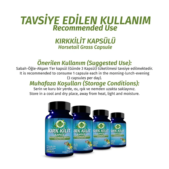 Kırkkilit Kapsül (HORSETAİL GRASS CAPSULE) 60 Adet - Resim 4