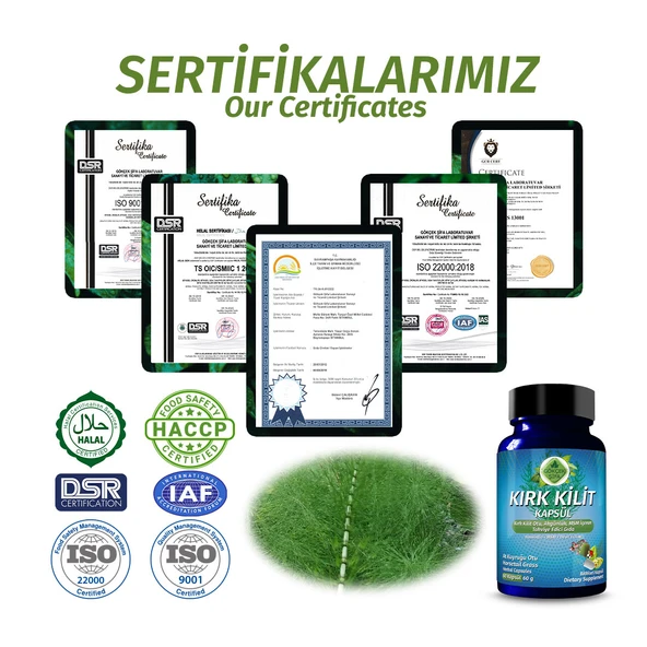 Kırkkilit Kapsül (HORSETAİL GRASS CAPSULE) 60 Adet - Resim 5