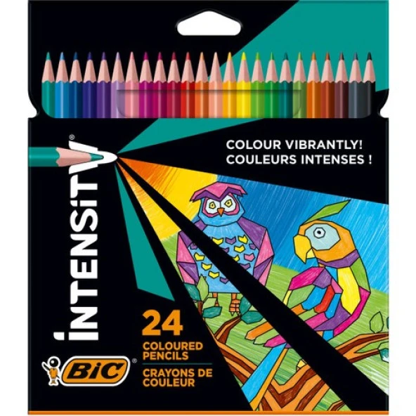 Bic Color Up Intensity Üçgen Kuru Boya 24 Renk - Resim 5