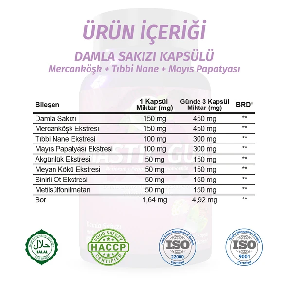 Mastic Gum Kapsül (Mastic Gum Capsule) 60 Adet - Resim 3