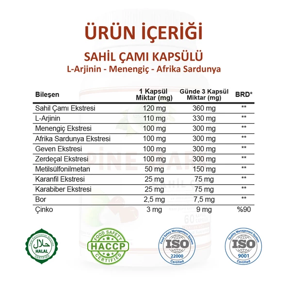 Sahil Çamı Kapsül (PİNE BARK CAPSULE) 60 Adet - Resim 3