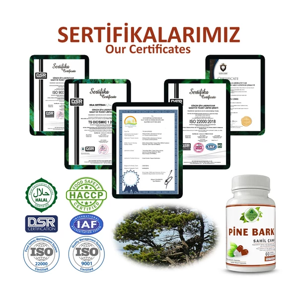 Sahil Çamı Kapsül (PİNE BARK CAPSULE) 60 Adet - Resim 5