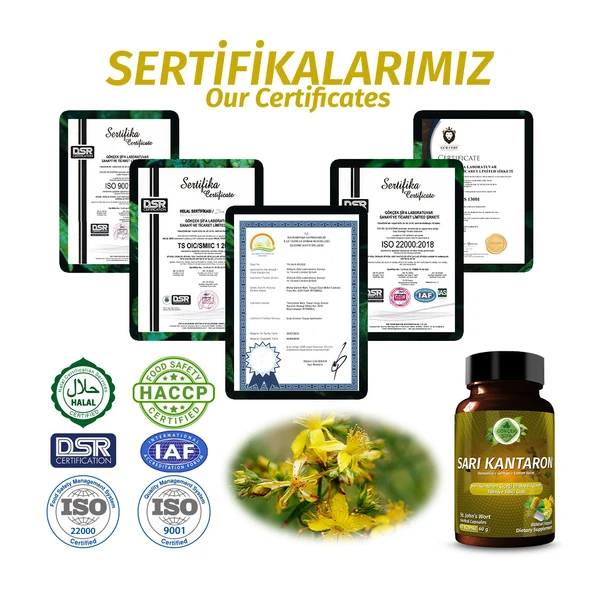 Sarı Kantaron Kapsül (St John's Wort Capsule) 60 Adet - Resim 5