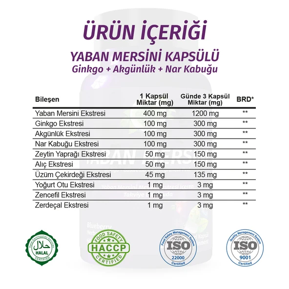 Yaban Mersini Kapsül (Blueberry Capsule) 60 Adet - Resim 3