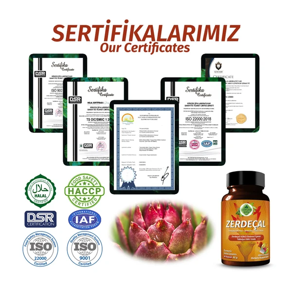 Zerdeçal Kapsül (TURMERİC CAPSULE) 60 Adet - Resim 5