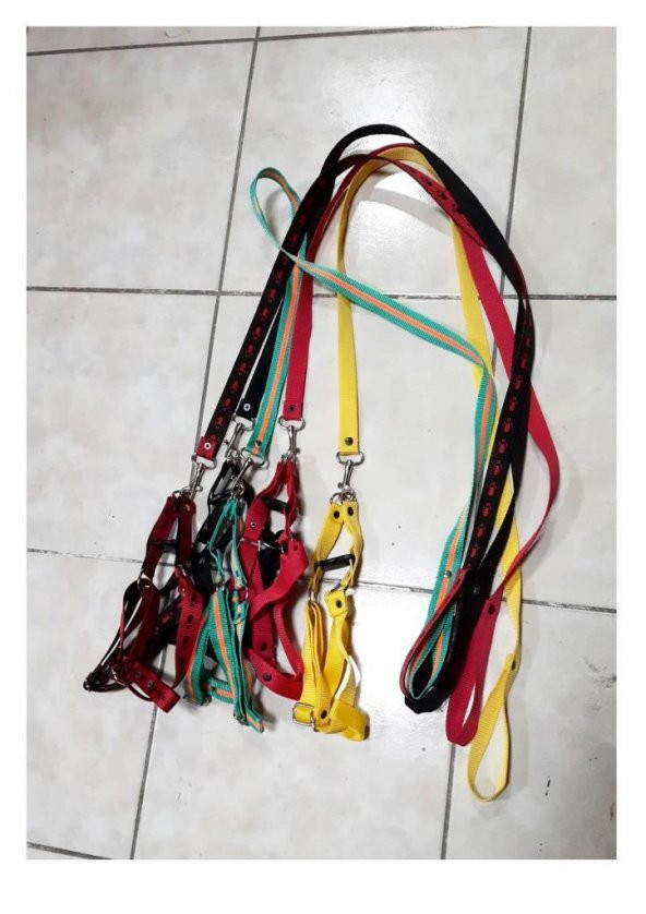Coco Pet Köpek Ayarlanır Göğüs Tasma ve Gezdirme Kayışı Göğüs 45-64 cm ürün görseli 1