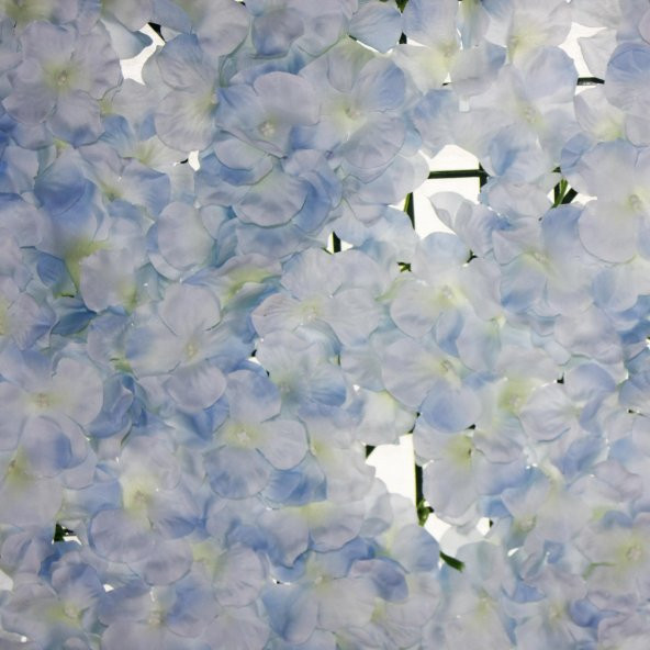40x60cm Çiçek Panosu Panel (0,24m2) Ortanca Çiçekli - Resim 12