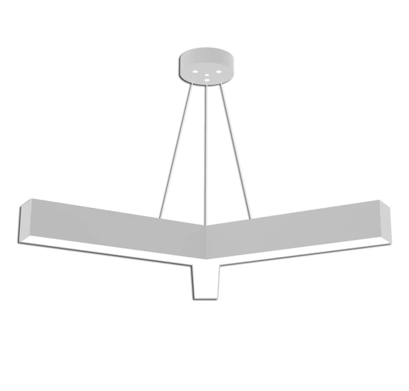 Y LINEER SARKIT - Resim 6