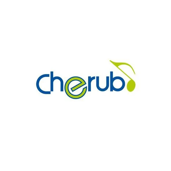 Vakumlu Akort Aleti Cherub CH-ST710 - Resim 2