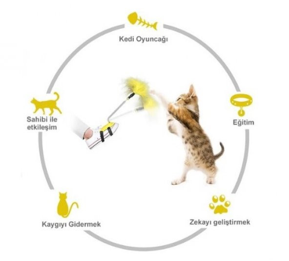 Ayağa takılan kedi oyun oltası ürün görseli 1