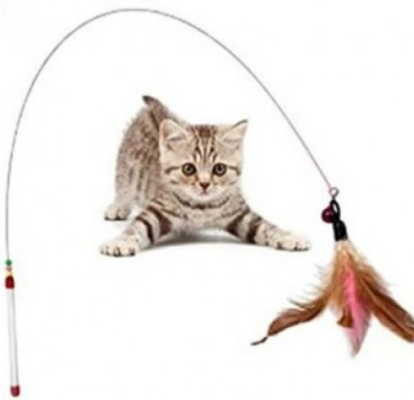 Kedi oyun oltası ürün görseli 1
